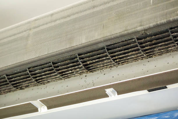 Best Commercial HVAC Duct Cleaning  in Helmetta, NJ